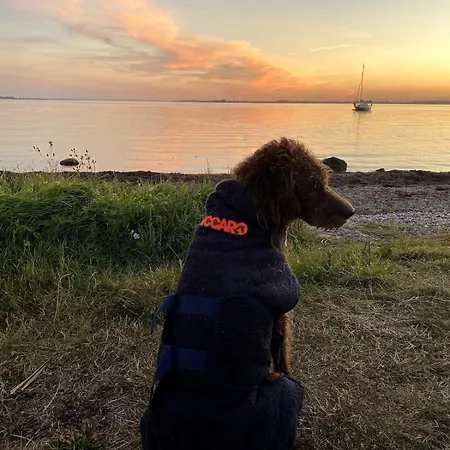 First Row - Super - Sunset View Føllenslev